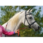Zilco Synthetic Sidepull Bitless Bridle